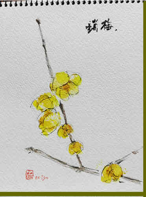 Photo_2