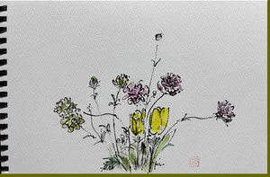 Photo_2
